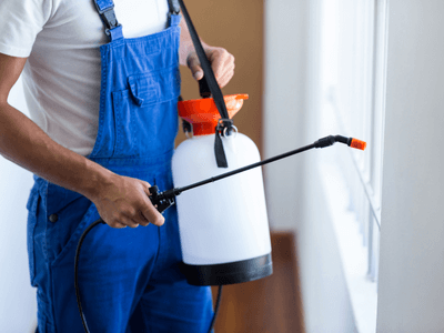 About Bed Bug Inspection Eau Claire - bed bug inspection experts in Eau Claire