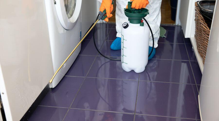 Why choose Bed Bug Inspection Eau Claire for bed bug inspection in Eau Claire